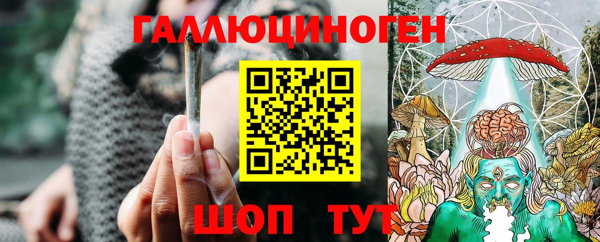 Новосибирск  Галлюциногенные грибы Magic Shrooms  Вход с VPN  как найти наркотики  Галлюциногенные грибы мицелий 