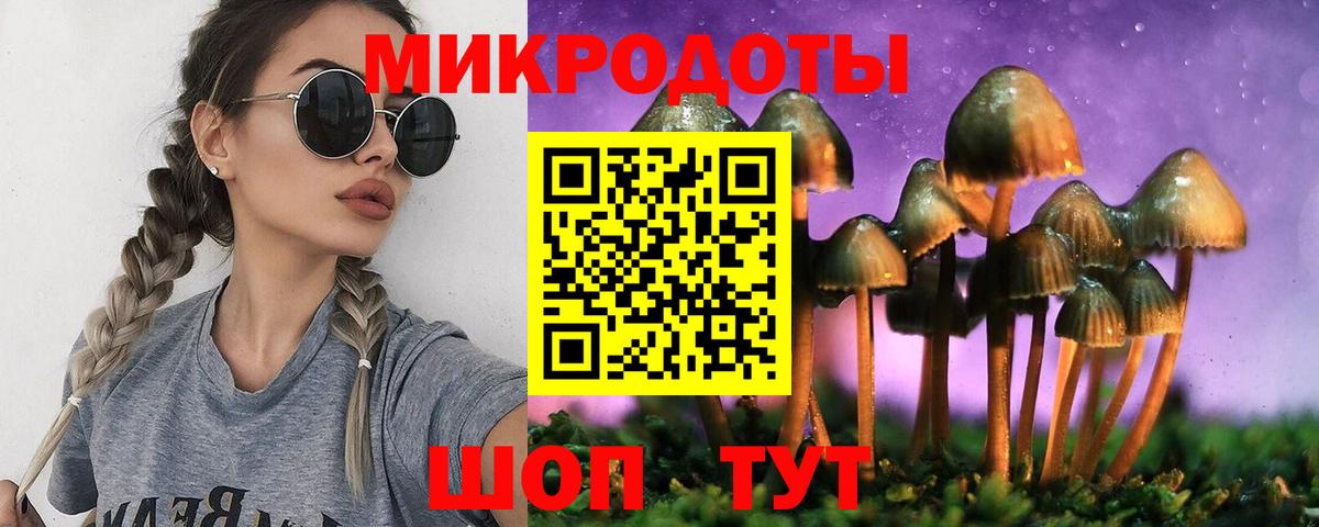 Галлюциногенные грибы Psilocybine cubensis Новосибирск